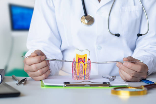 Best Emergency Dentist for Lost Fillings or Crowns in Seven Oaks, SC